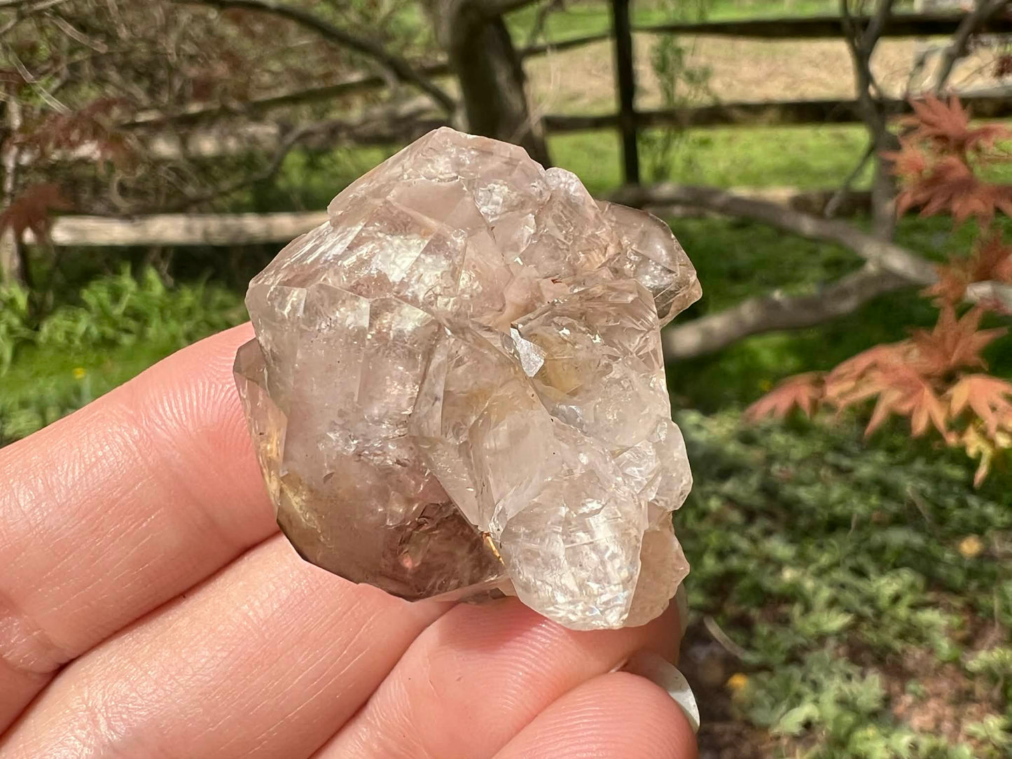 Smoky Elestial Quartz Specimen #12 - Gem Realm 