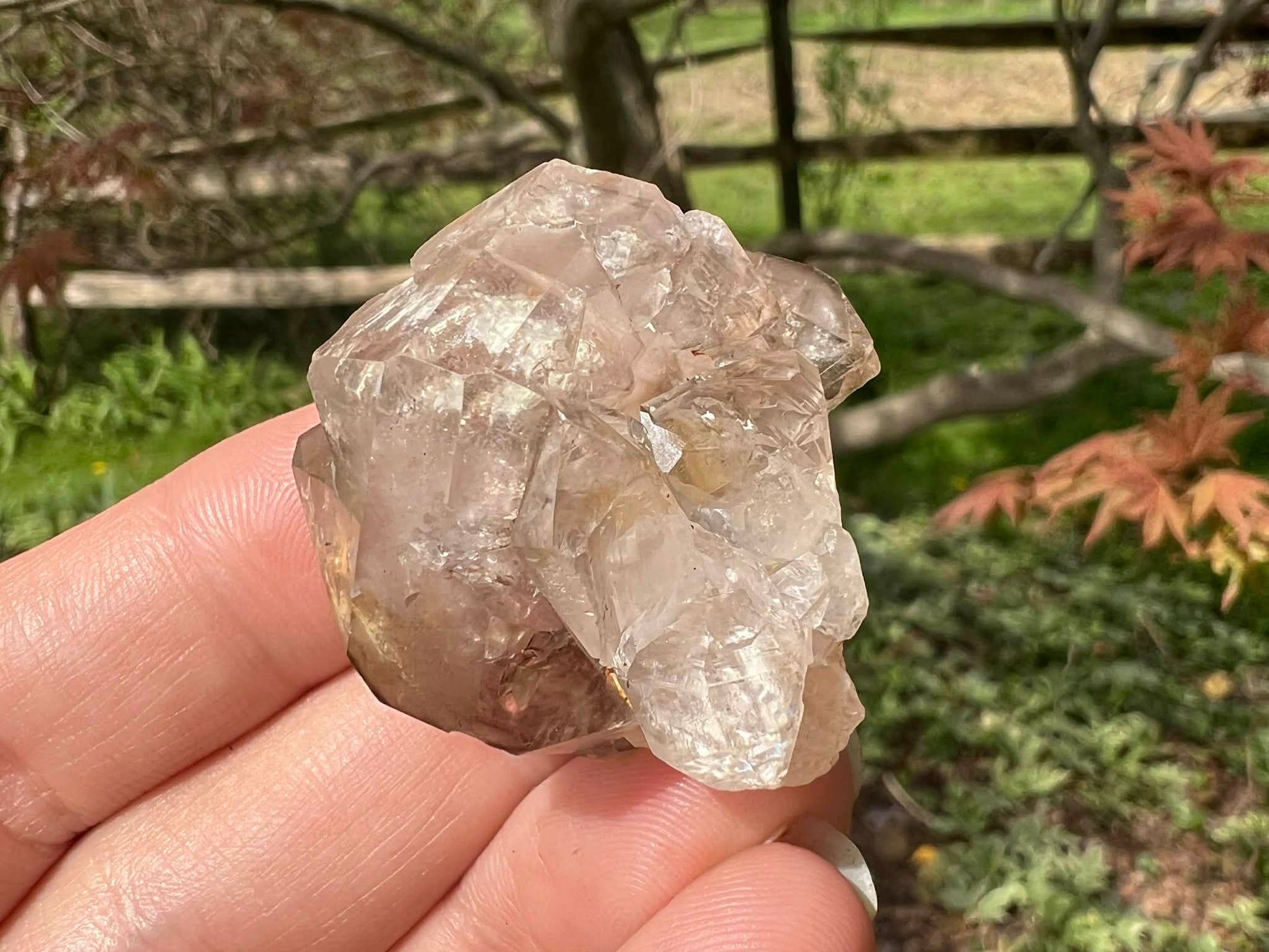 Smoky Elestial Quartz Specimen #12 - Gem Realm 