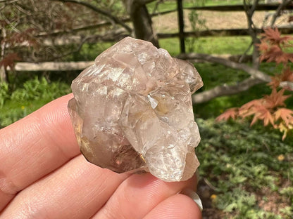 Smoky Elestial Quartz Specimen #12 - Gem Realm 