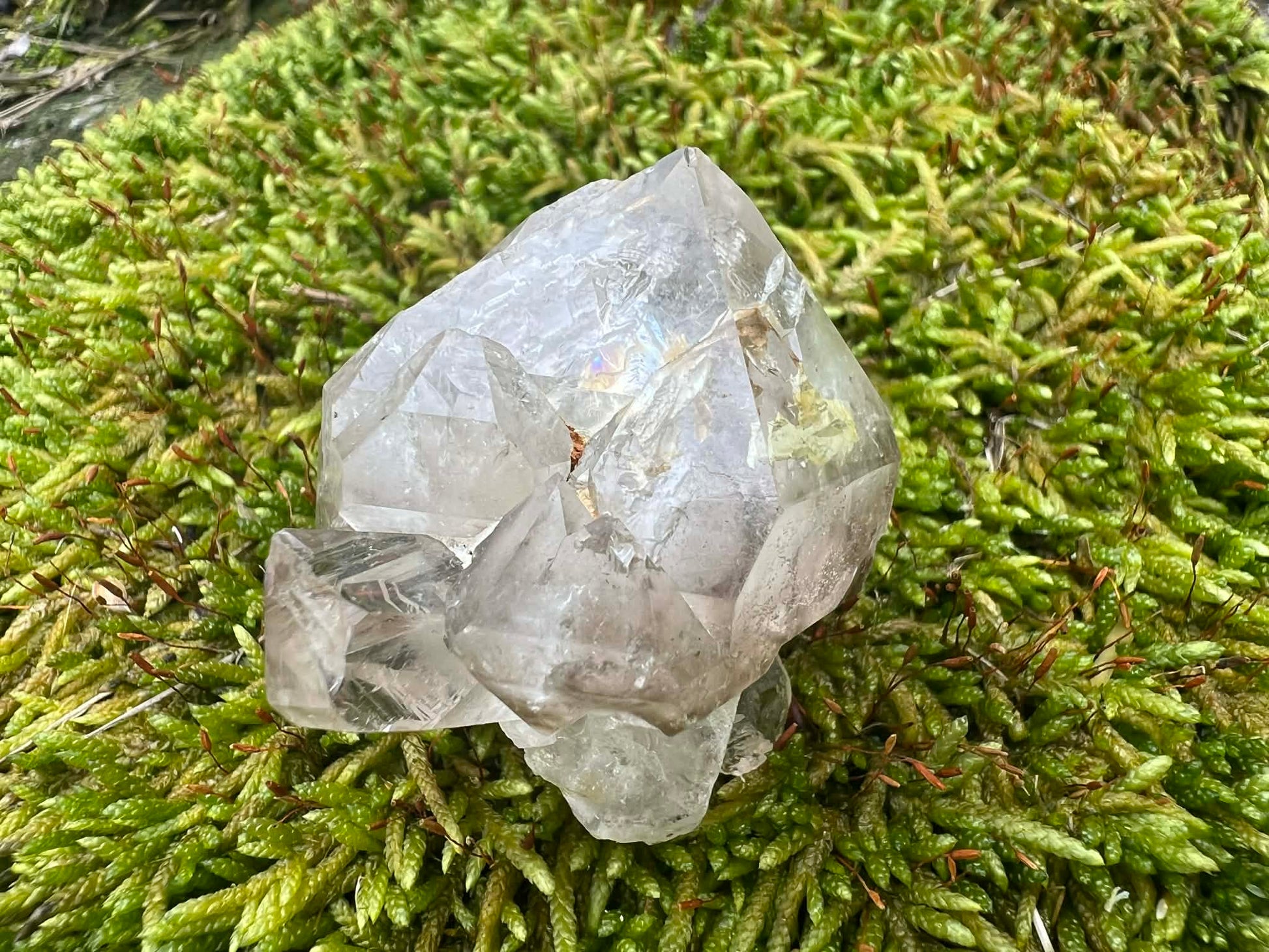 Smoky Elestial Quartz Specimen #12 - Gem Realm 