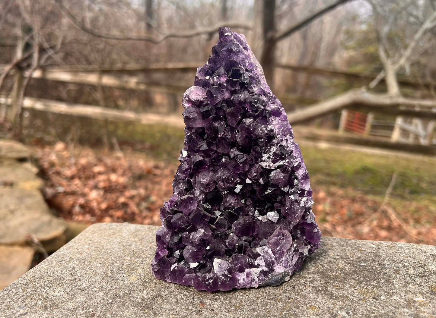 Amethyst Geode - Gem Realm 