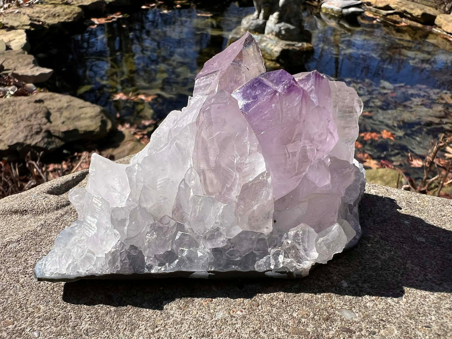 Amethyst Cluster Specimen ~ Brazil