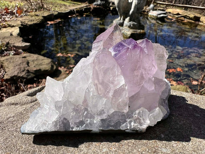 Amethyst Cluster Specimen ~ Brazil