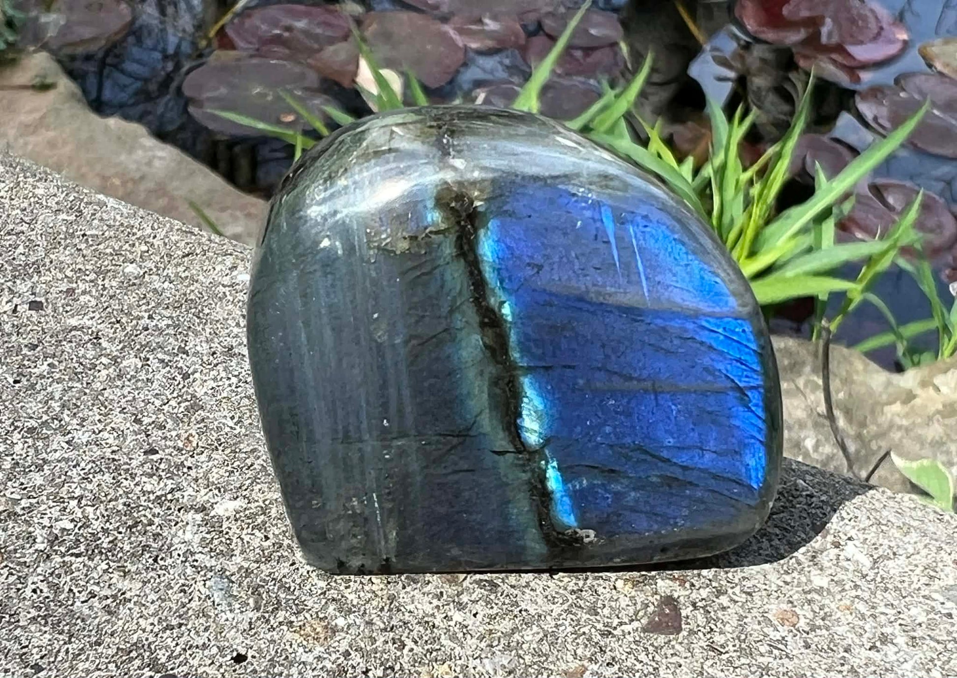 Labradorite Freeform - Mini - Gem Realm 