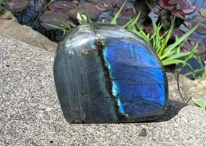 Labradorite Freeform - Mini - Gem Realm 