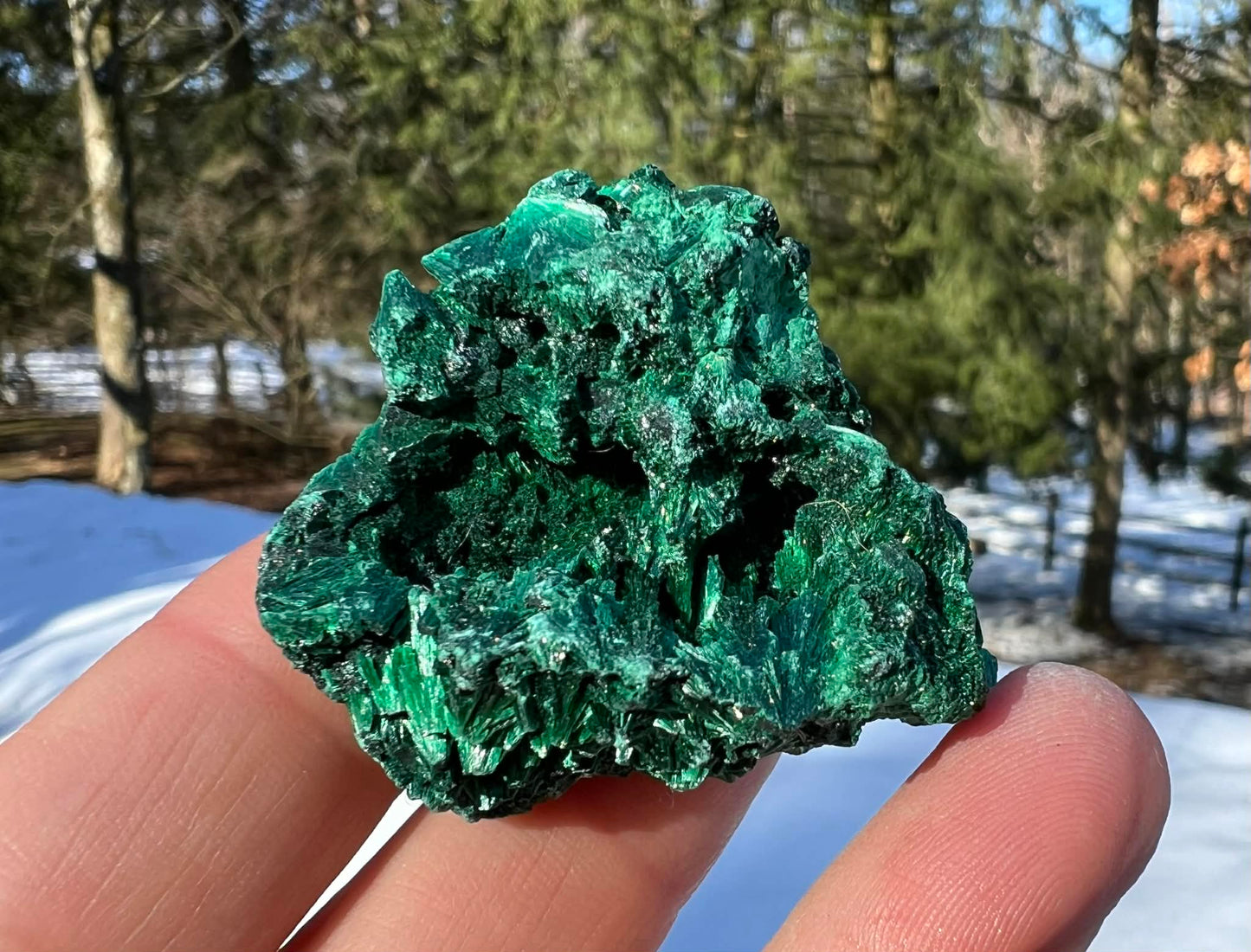 Silk Malachite Specimen #17 - Gem Realm 