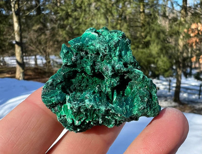 Silk Malachite Specimen #17 - Gem Realm 