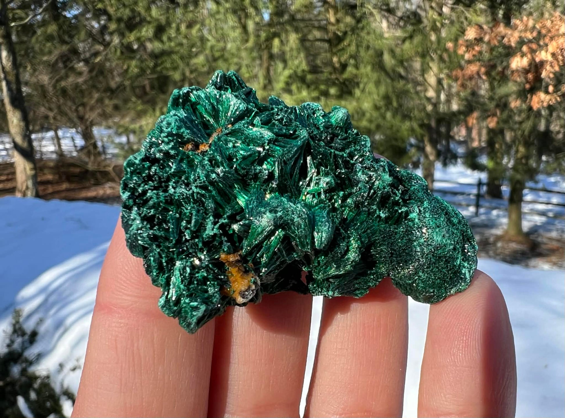 Silk Malachite Specimen #19 - Gem Realm 