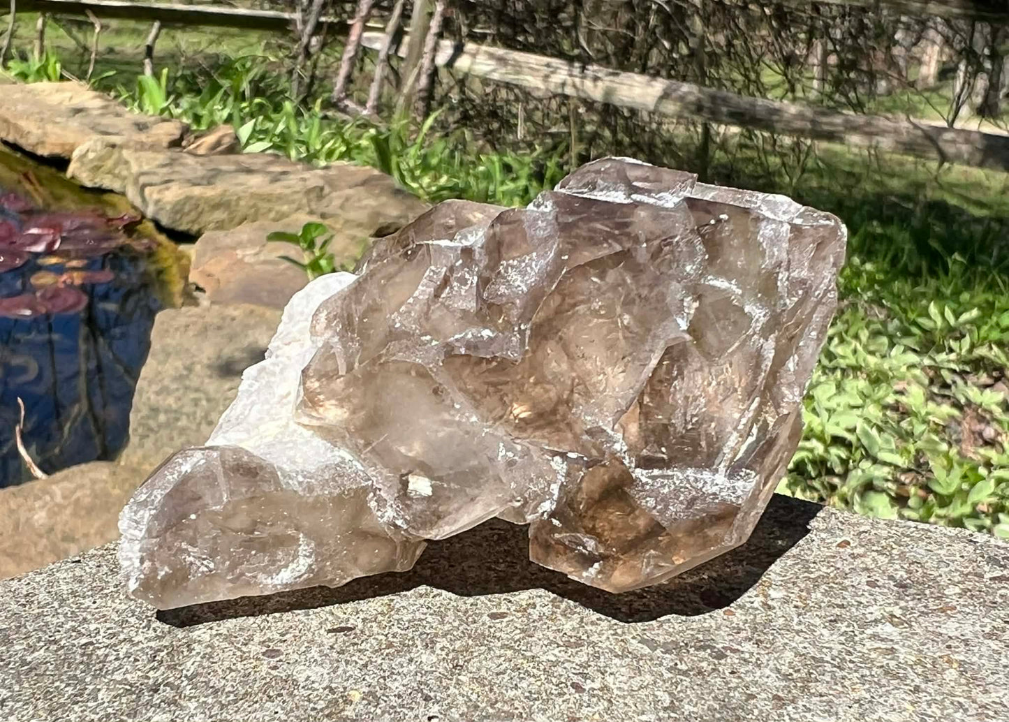 Smoky Elestial Quartz Specimen #9 - Gem Realm 