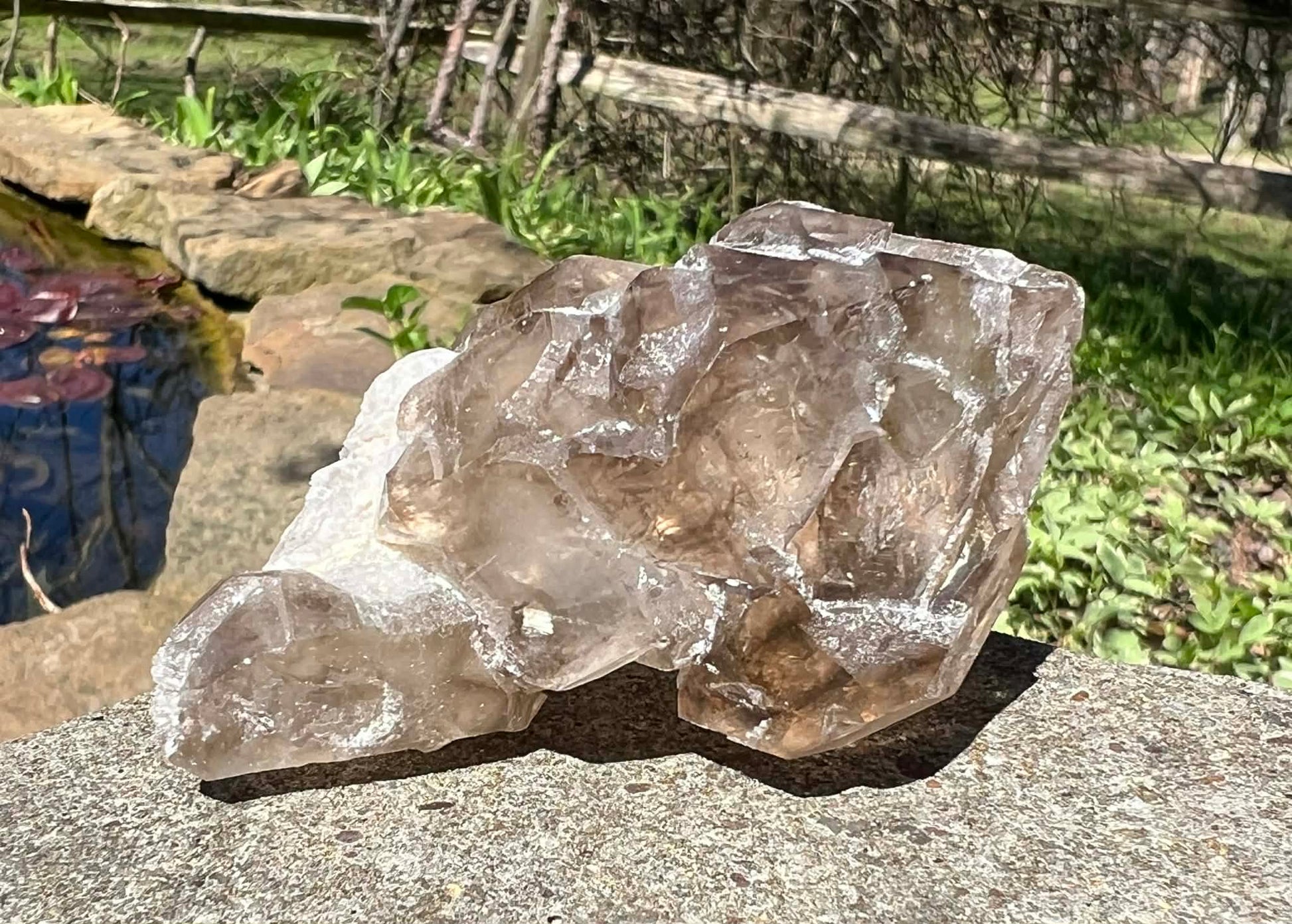 Smoky Elestial Quartz Specimen #9 - Gem Realm 