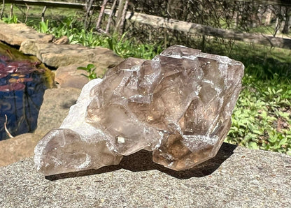 Smoky Elestial Quartz Specimen #9 - Gem Realm 