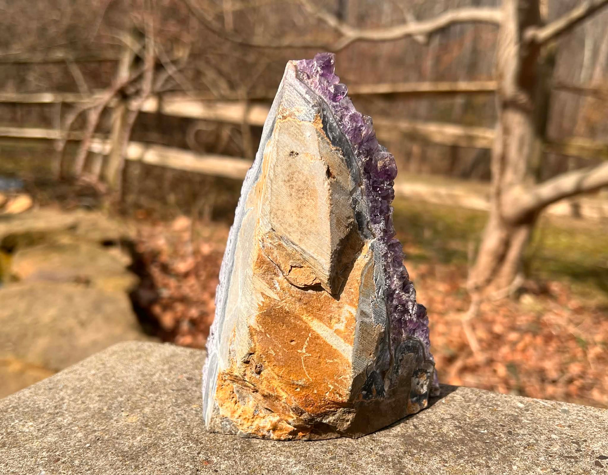 Amethyst Geode - Gem Realm 