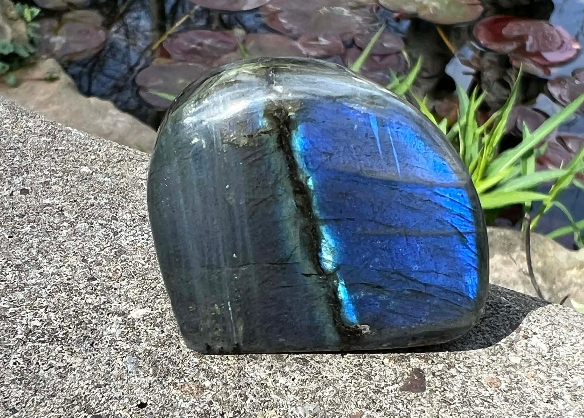 Labradorite Freeform - Mini - Gem Realm 