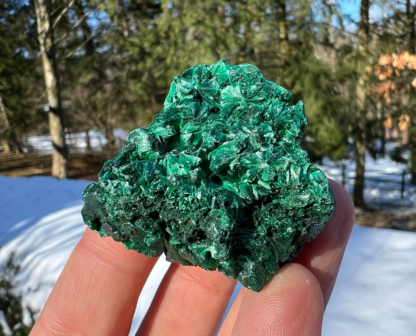 Silk Malachite Specimen #17 - Gem Realm 