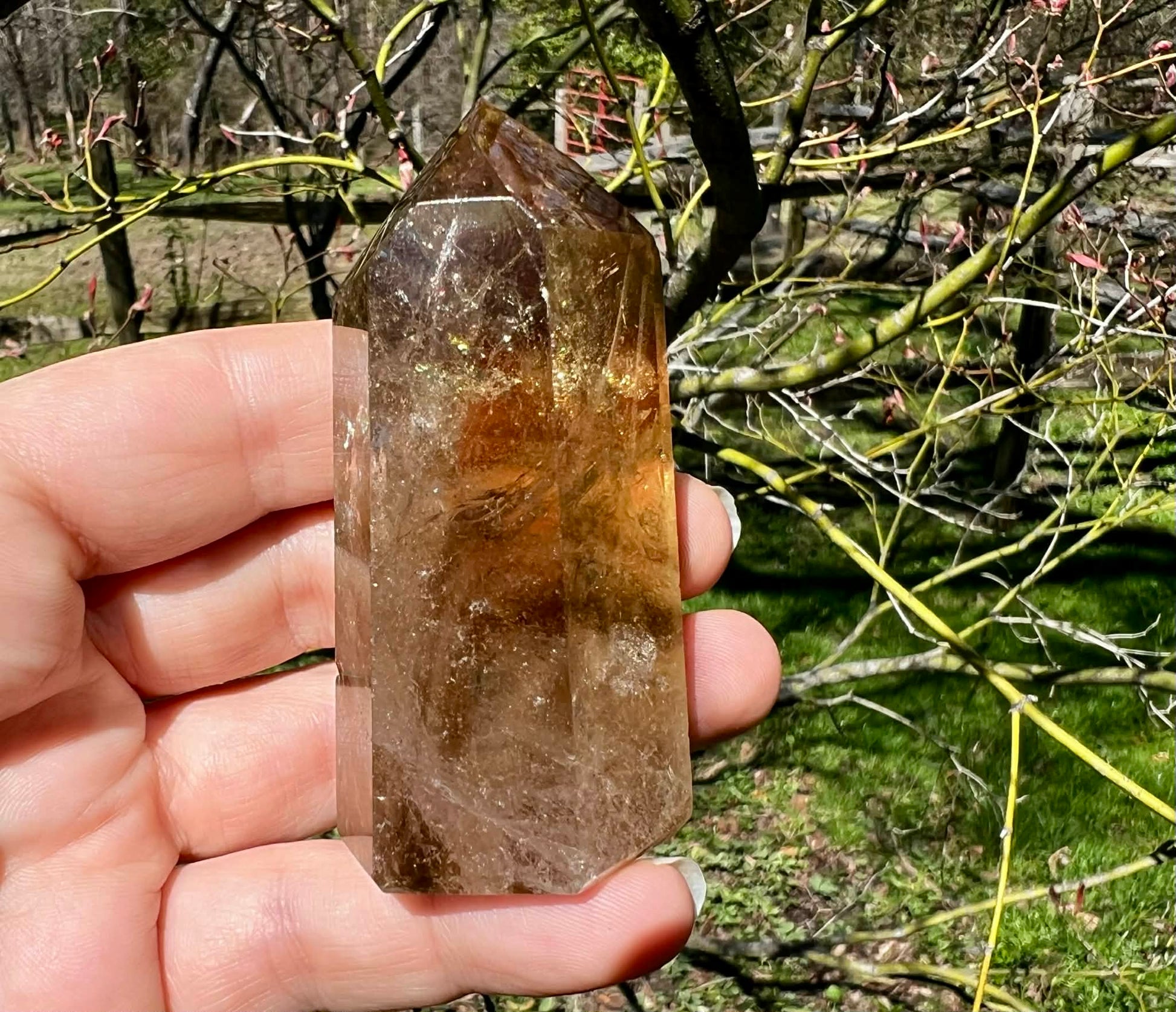 Citrine Tower ~ Smoky Citrine with Phantoms - Gem Realm 