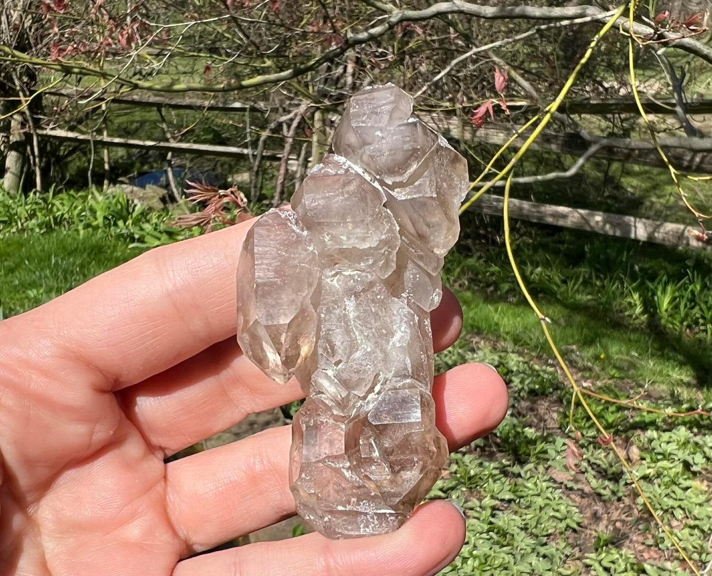 Smoky Elestial Quartz Specimen #7 - Gem Realm 