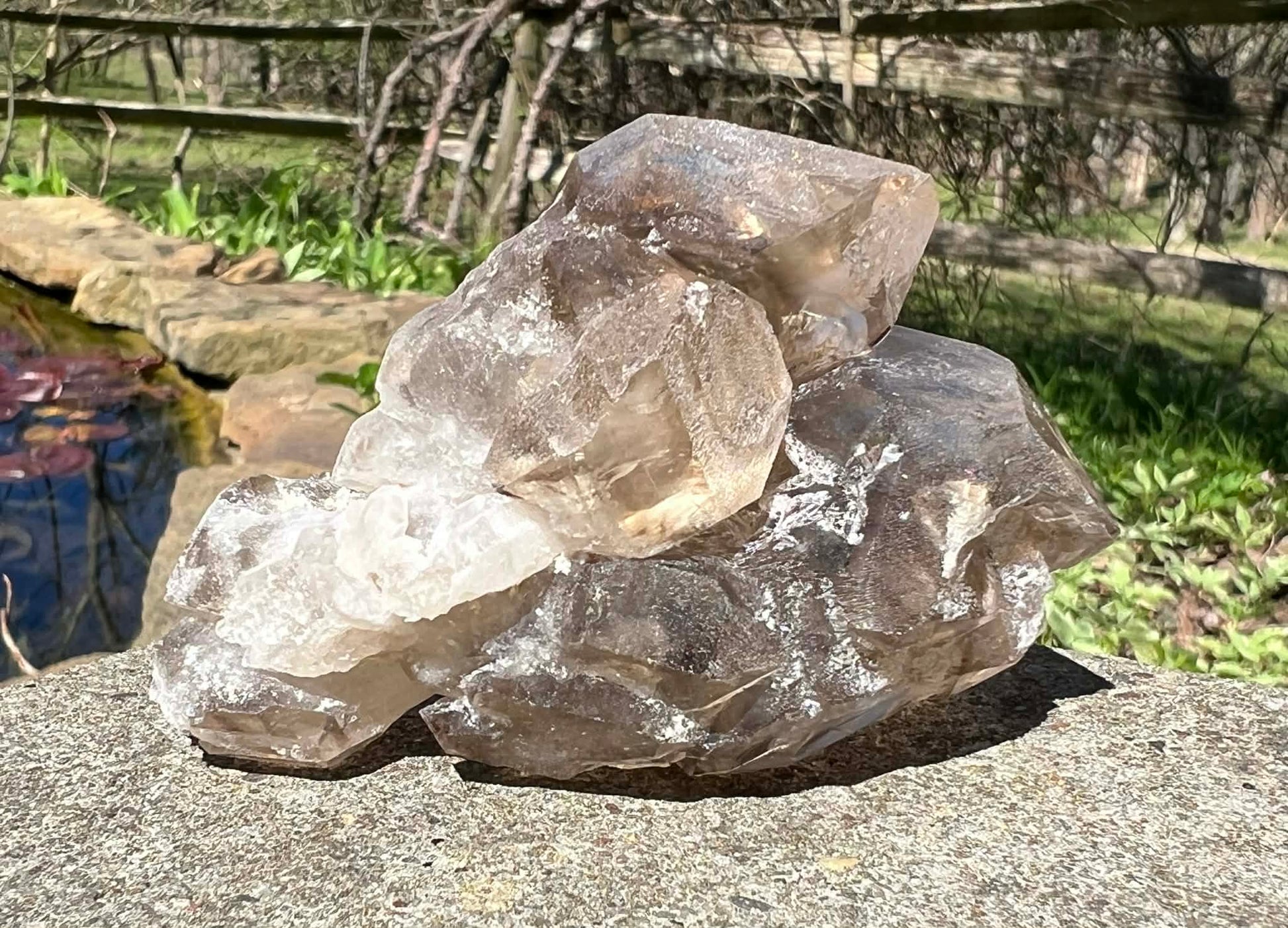 Smoky Elestial Quartz Specimen #9 - Gem Realm 