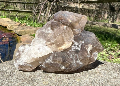Smoky Elestial Quartz Specimen #9 - Gem Realm 