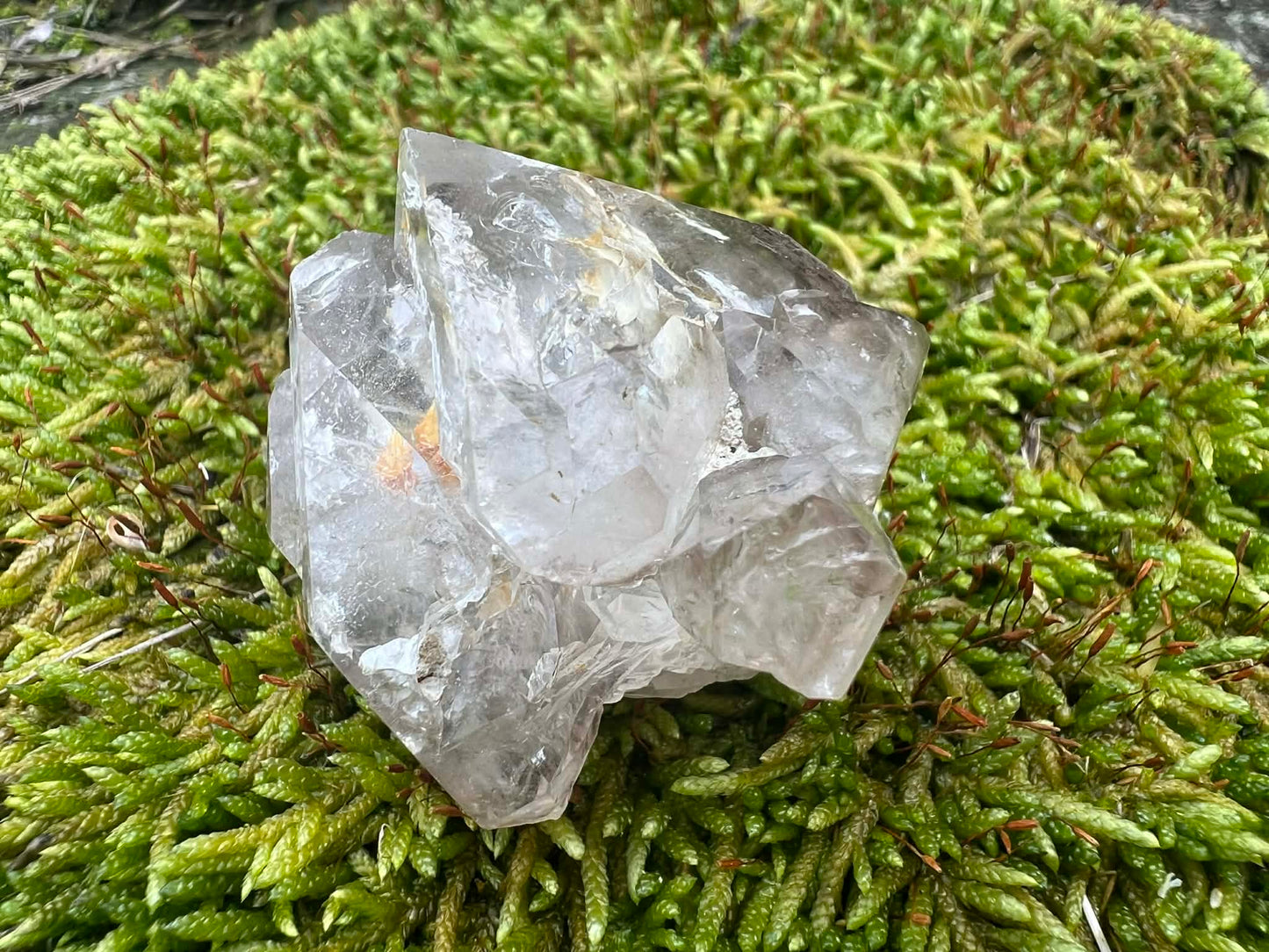 Smoky Elestial Quartz Specimen #12 - Gem Realm 