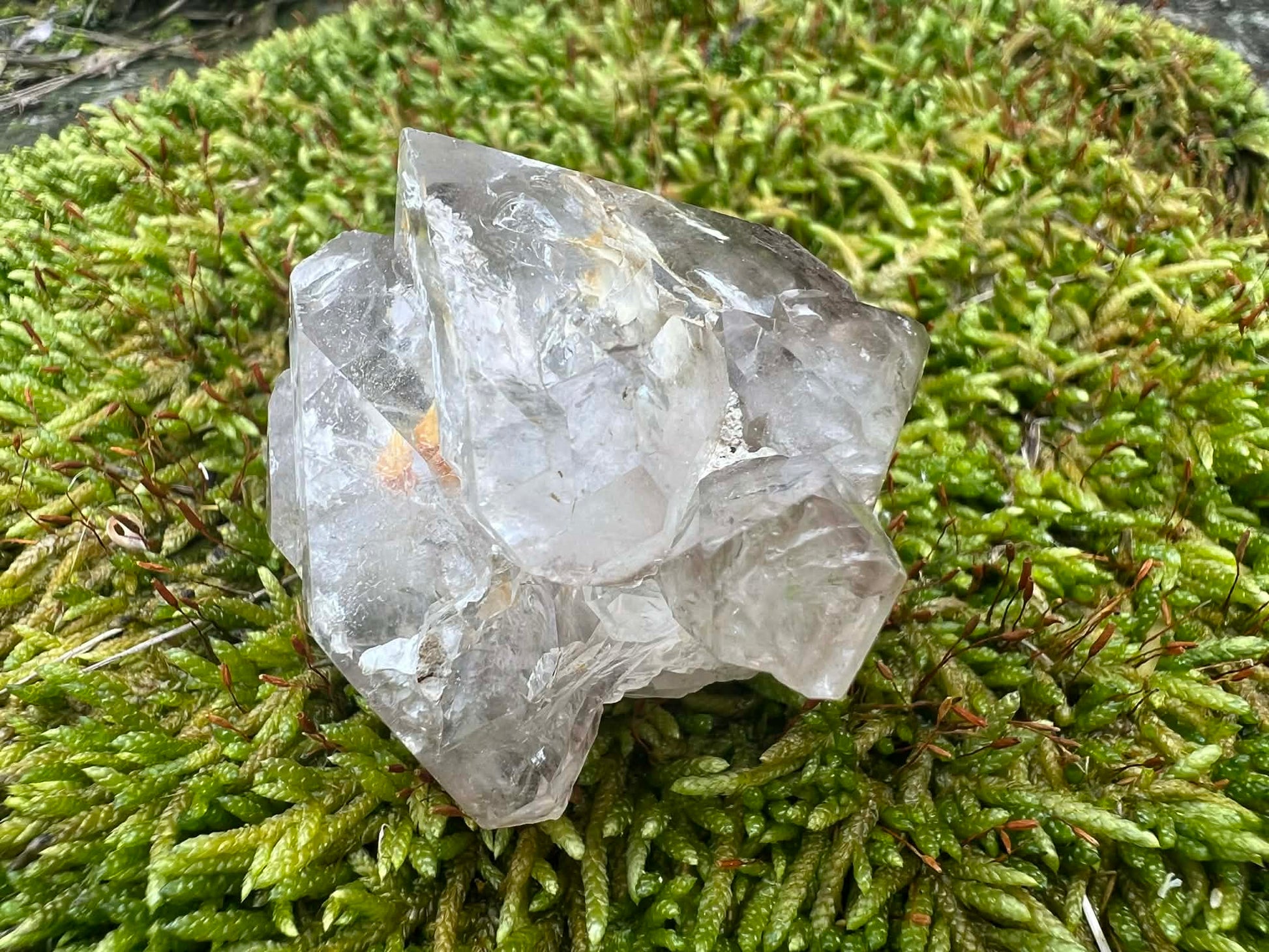 Smoky Elestial Quartz Specimen #12 - Gem Realm 
