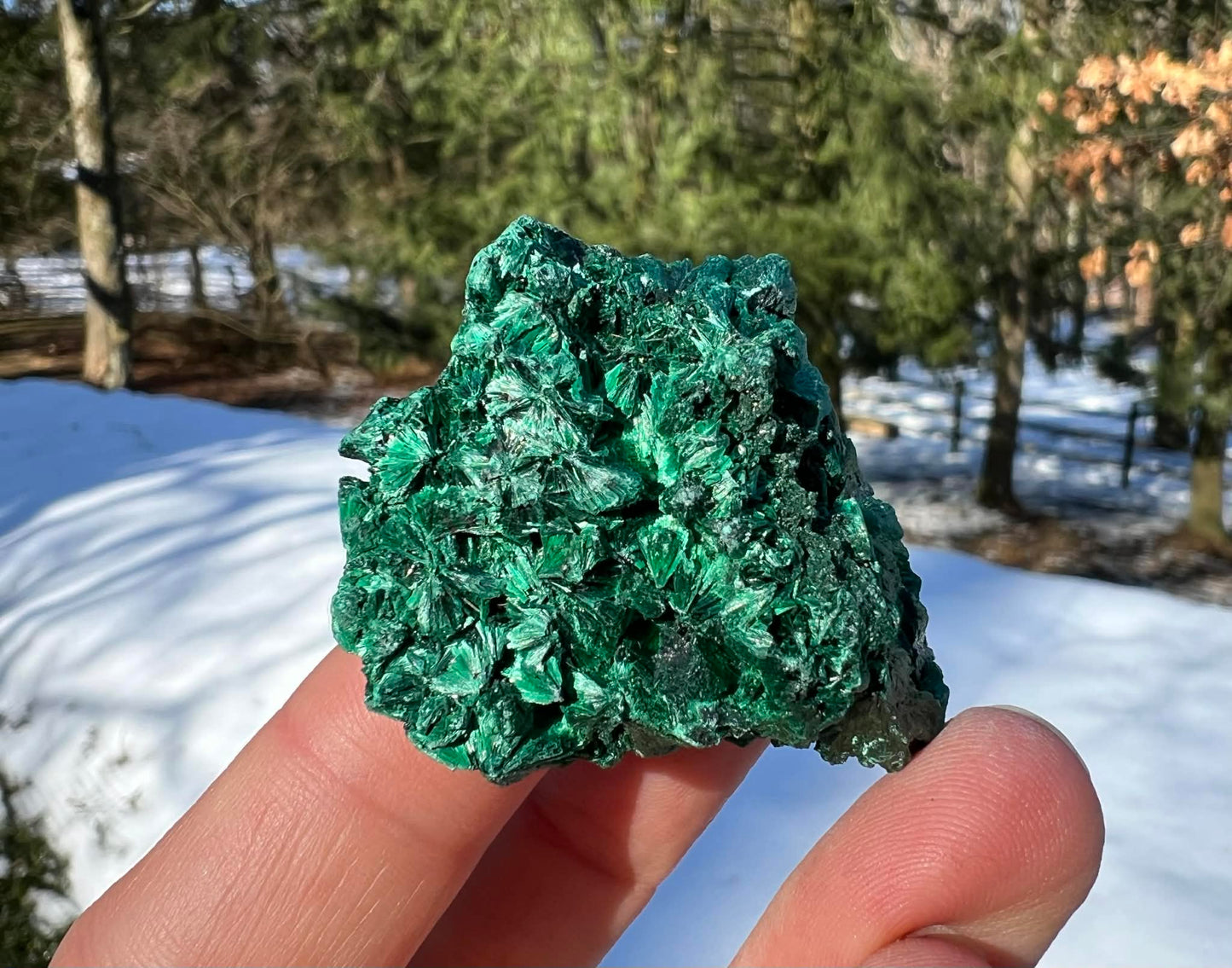Silk Malachite Specimen #17 - Gem Realm 