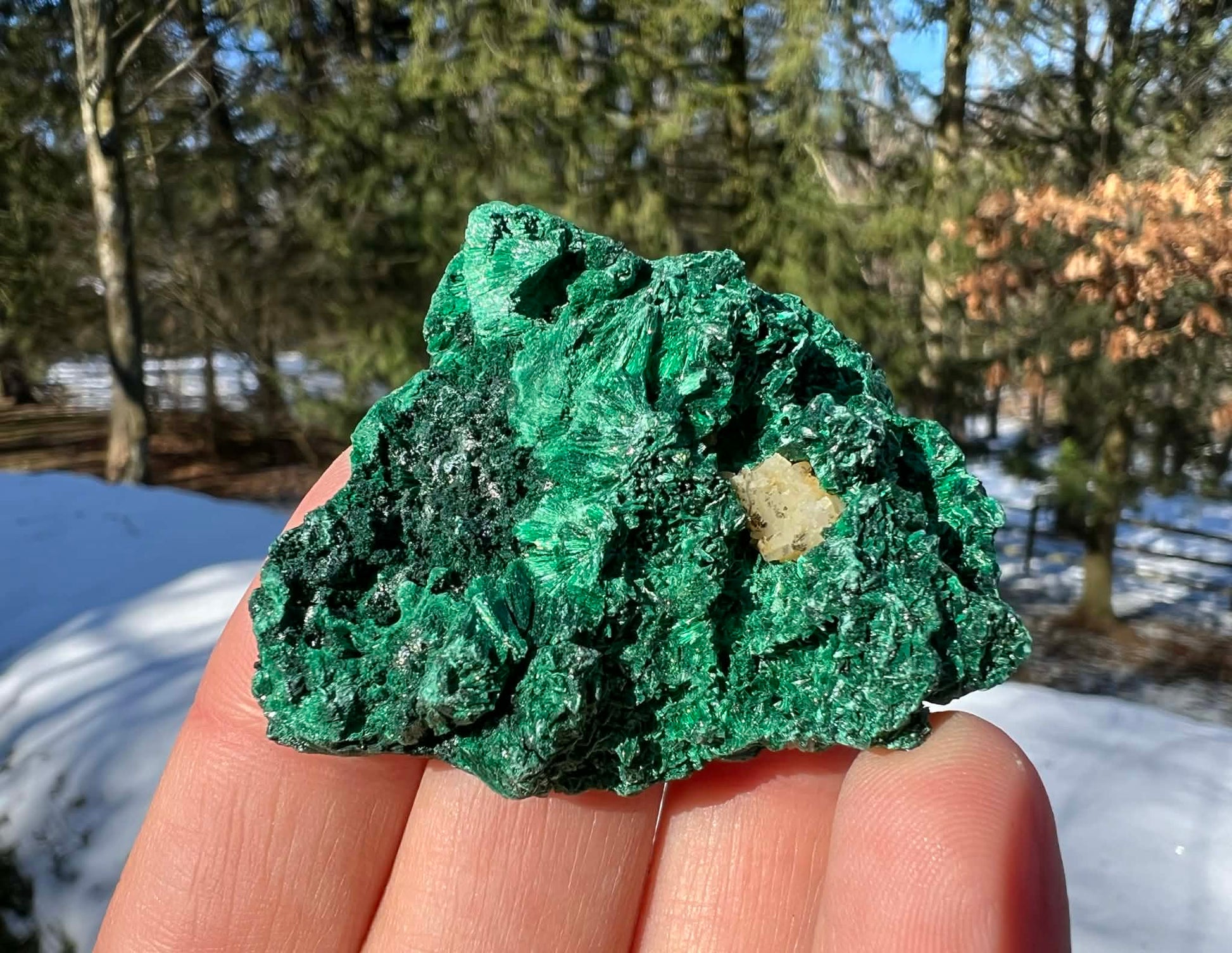 Silk Malachite Specimen #22 - Gem Realm 