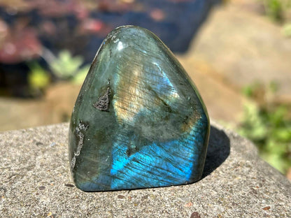 Labradorite Freeform - Mini - Gem Realm 