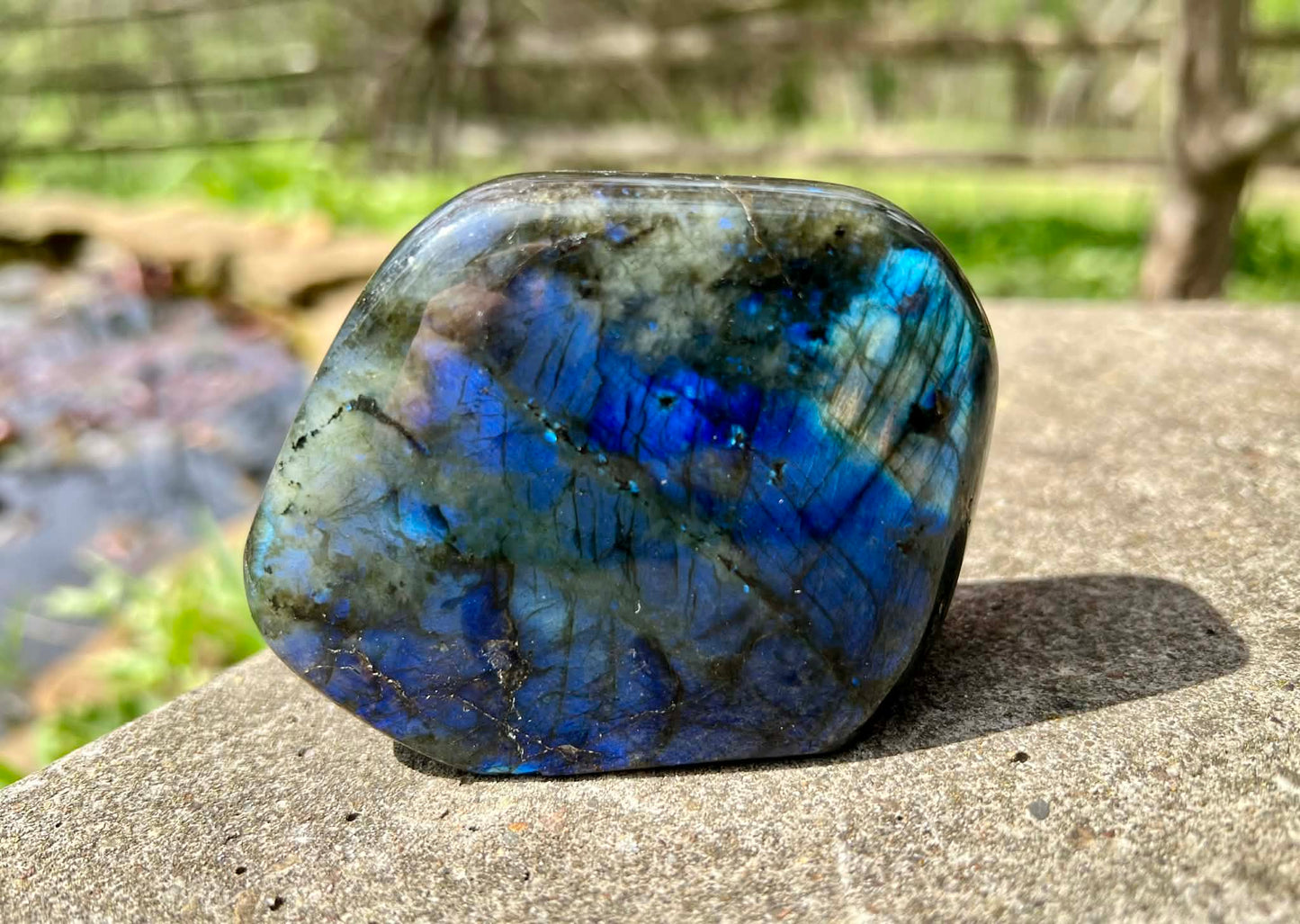 Labradorite Freeform - Gem Realm 