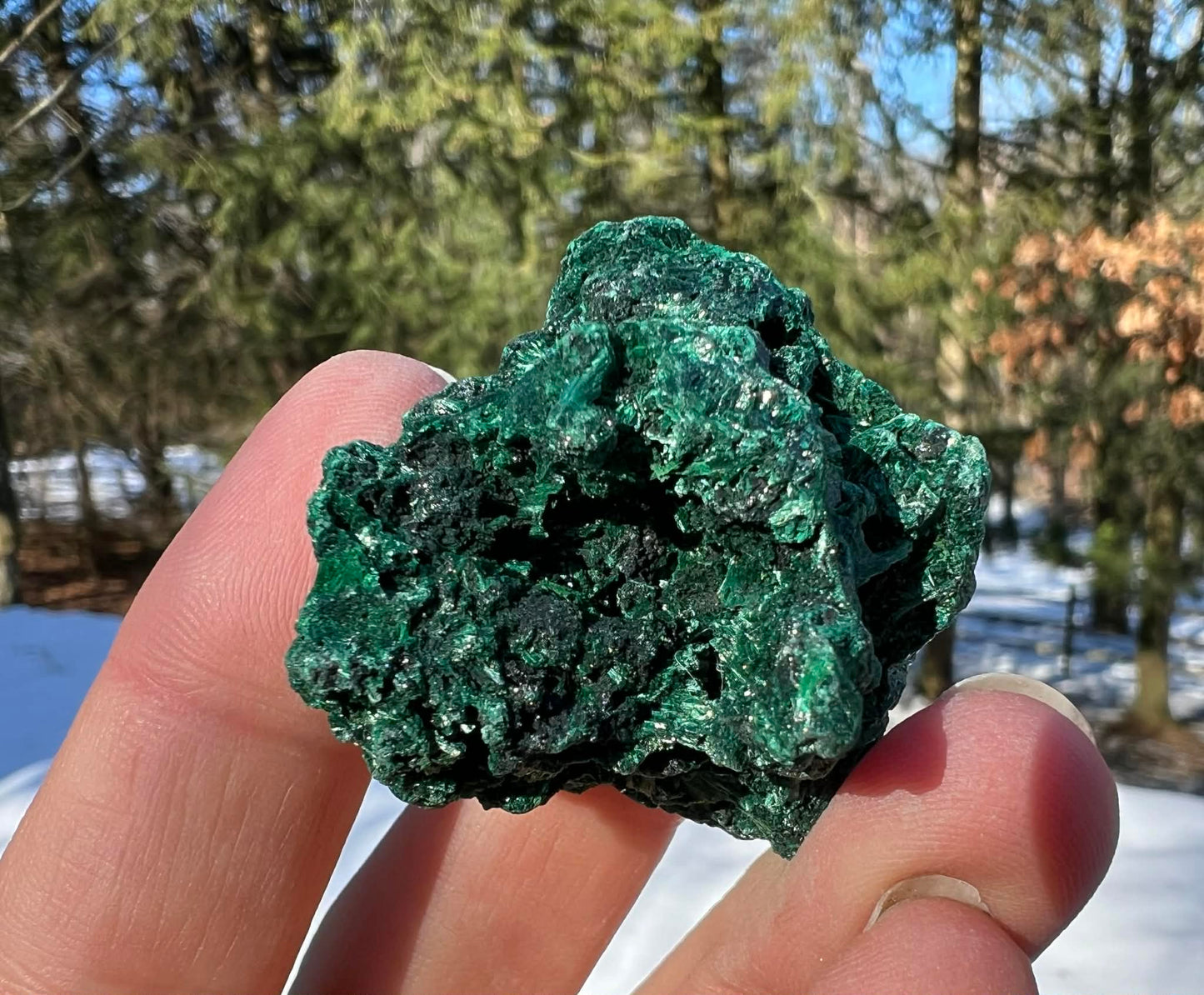 Silk Malachite Specimen #21 - Gem Realm 