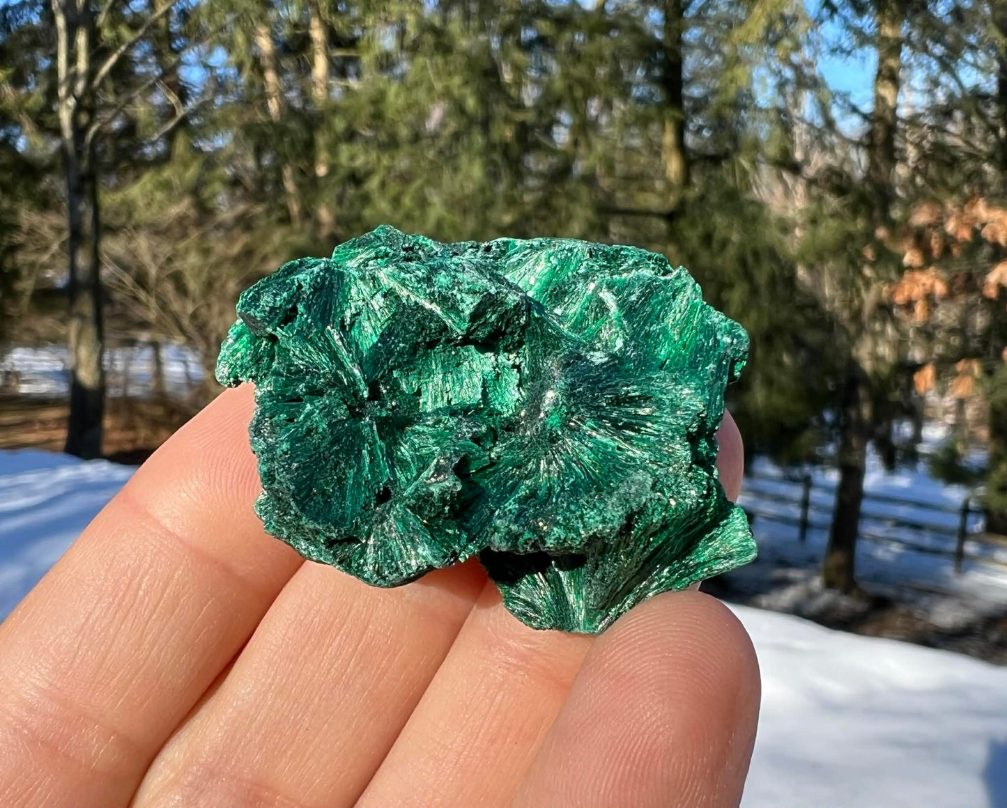 Silk Malachite Specimen #4