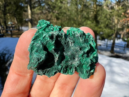 Silk Malachite Specimen #13 - Gem Realm 