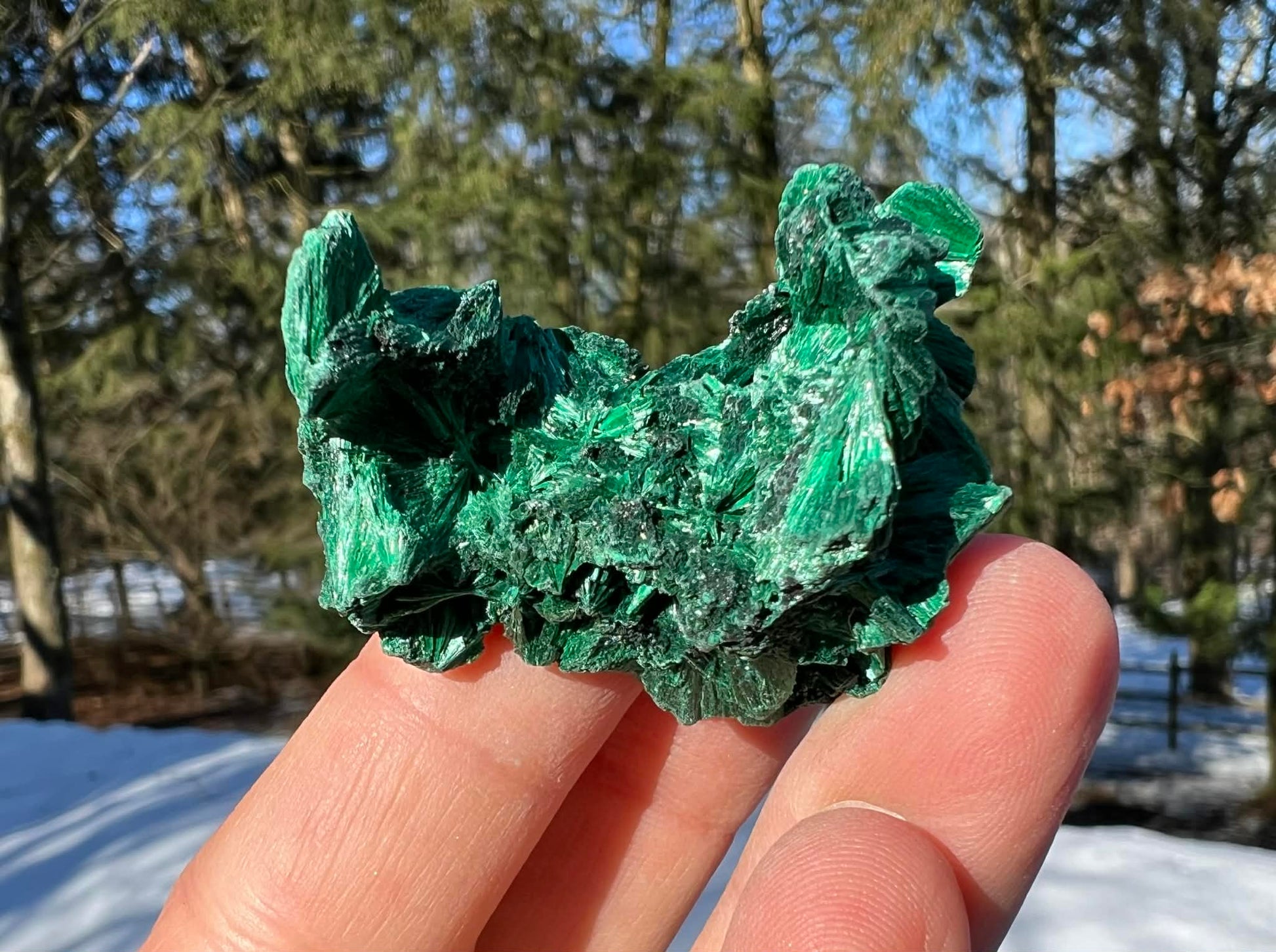Silk Malachite Specimen #13 - Gem Realm 
