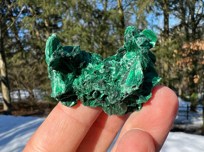 Silk Malachite Specimen #13 - Gem Realm 