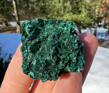 Silk Malachite Specimen #21 - Gem Realm 