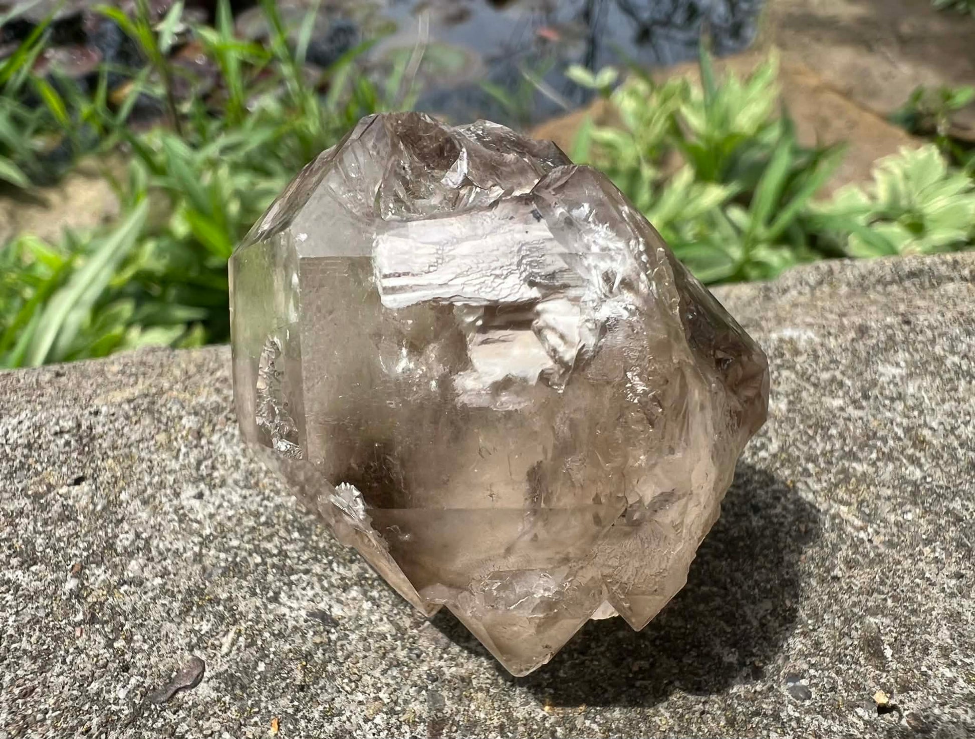 Smoky Elestial Quartz Specimen #13 - Gem Realm 