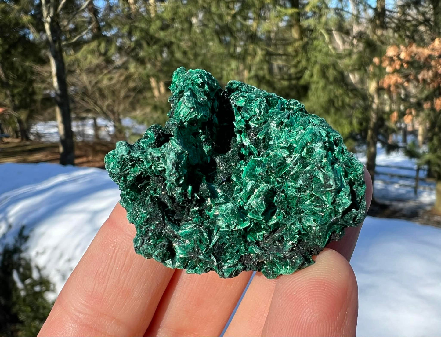 Silk Malachite Specimen #12 - Gem Realm 