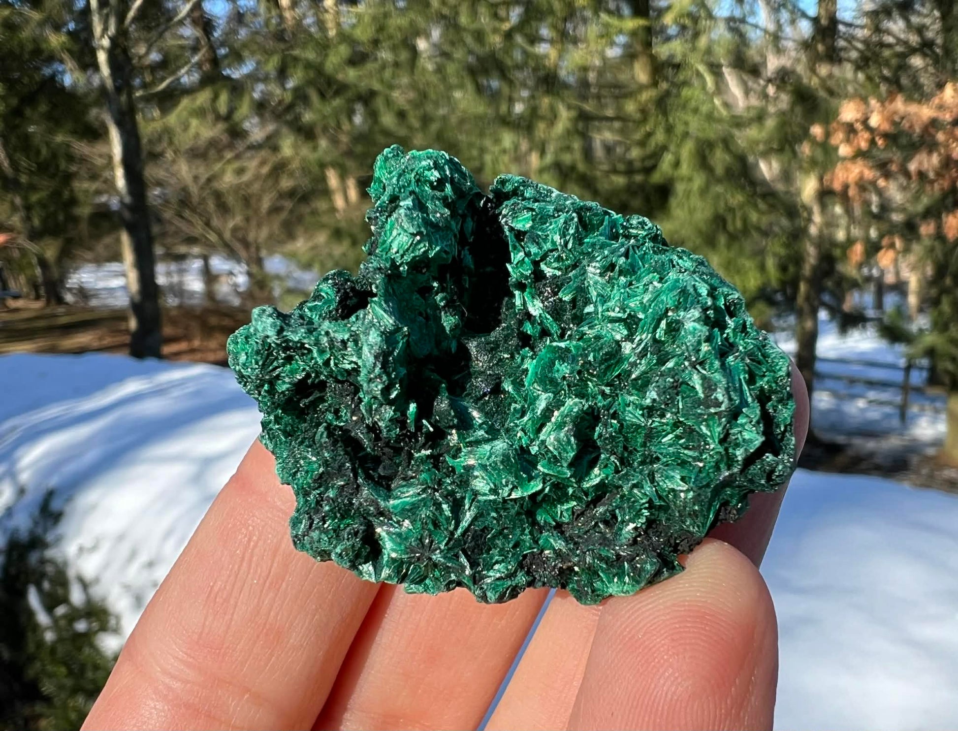 Silk Malachite Specimen #12 - Gem Realm 