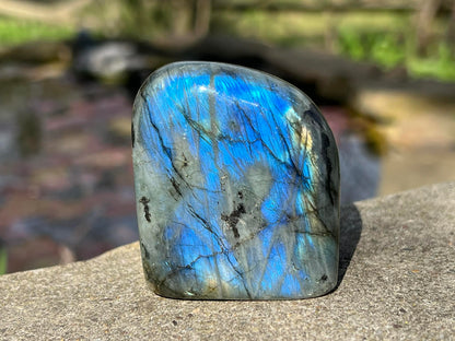 Labradorite Freeform - Gem Realm 