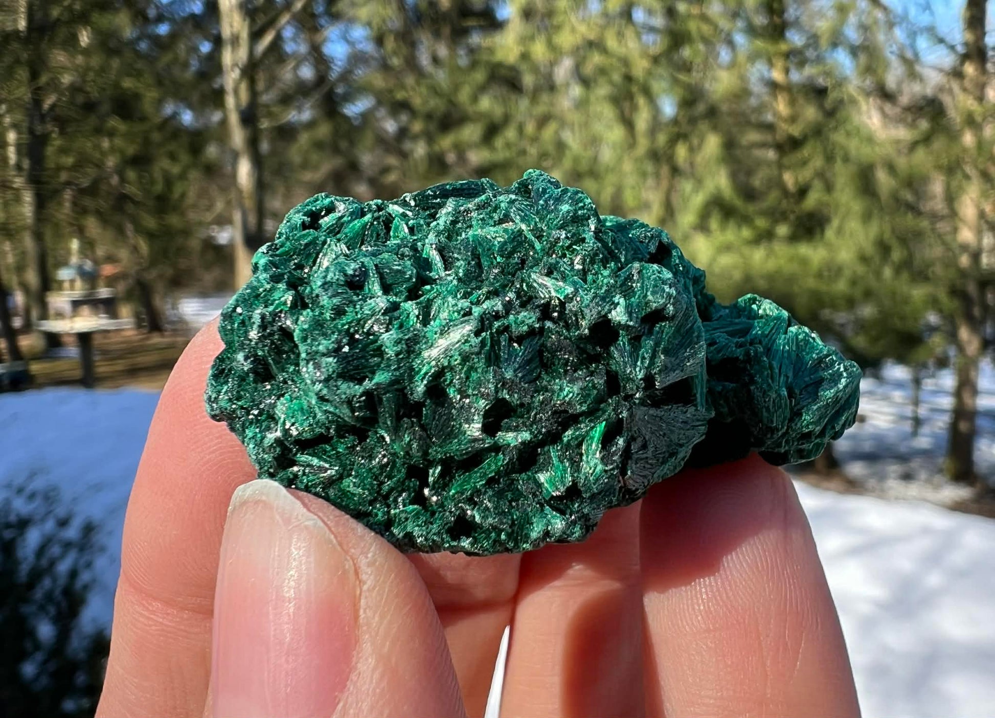 Silk Malachite Specimen #18 - Gem Realm 