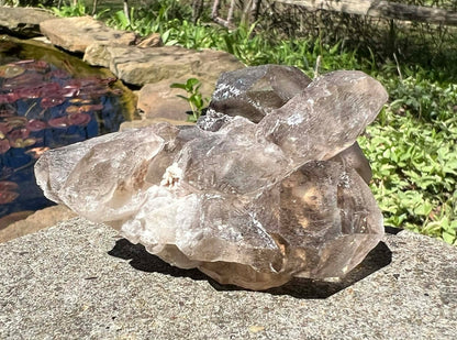 Smoky Elestial Quartz Specimen #9 - Gem Realm 