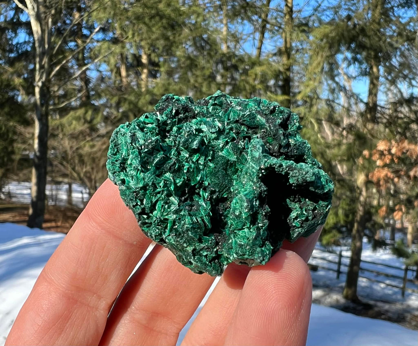 Silk Malachite Specimen #12 - Gem Realm 