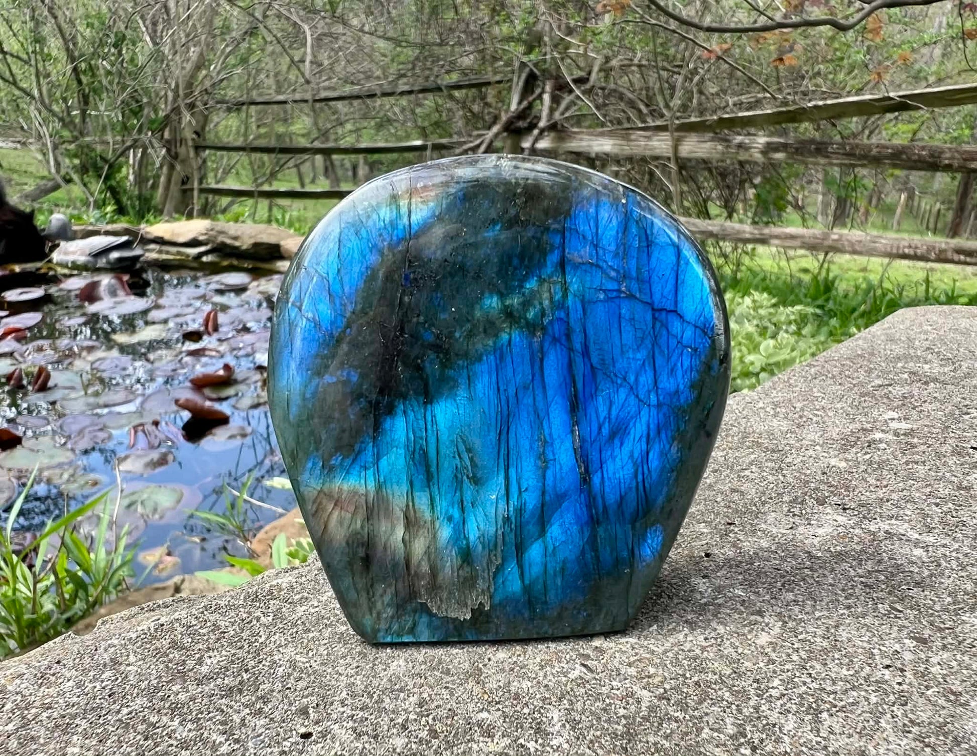 Labradorite Freeform - Gem Realm 
