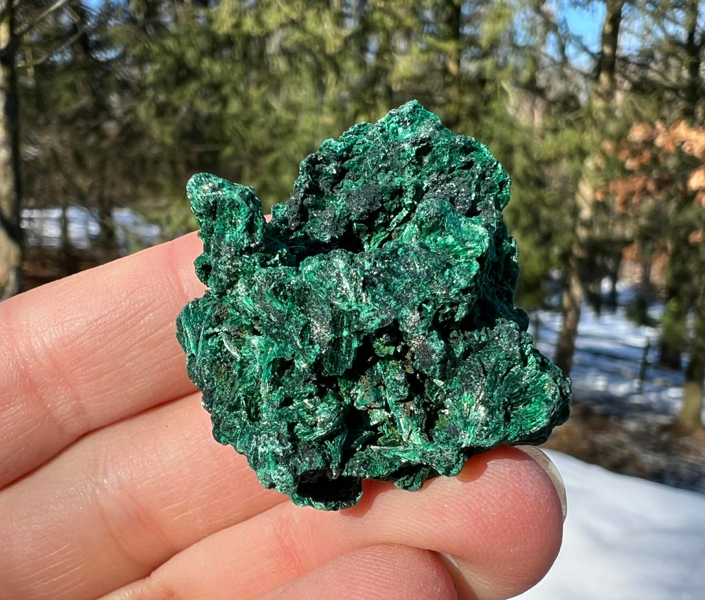 Silk Malachite Specimen #21 - Gem Realm 