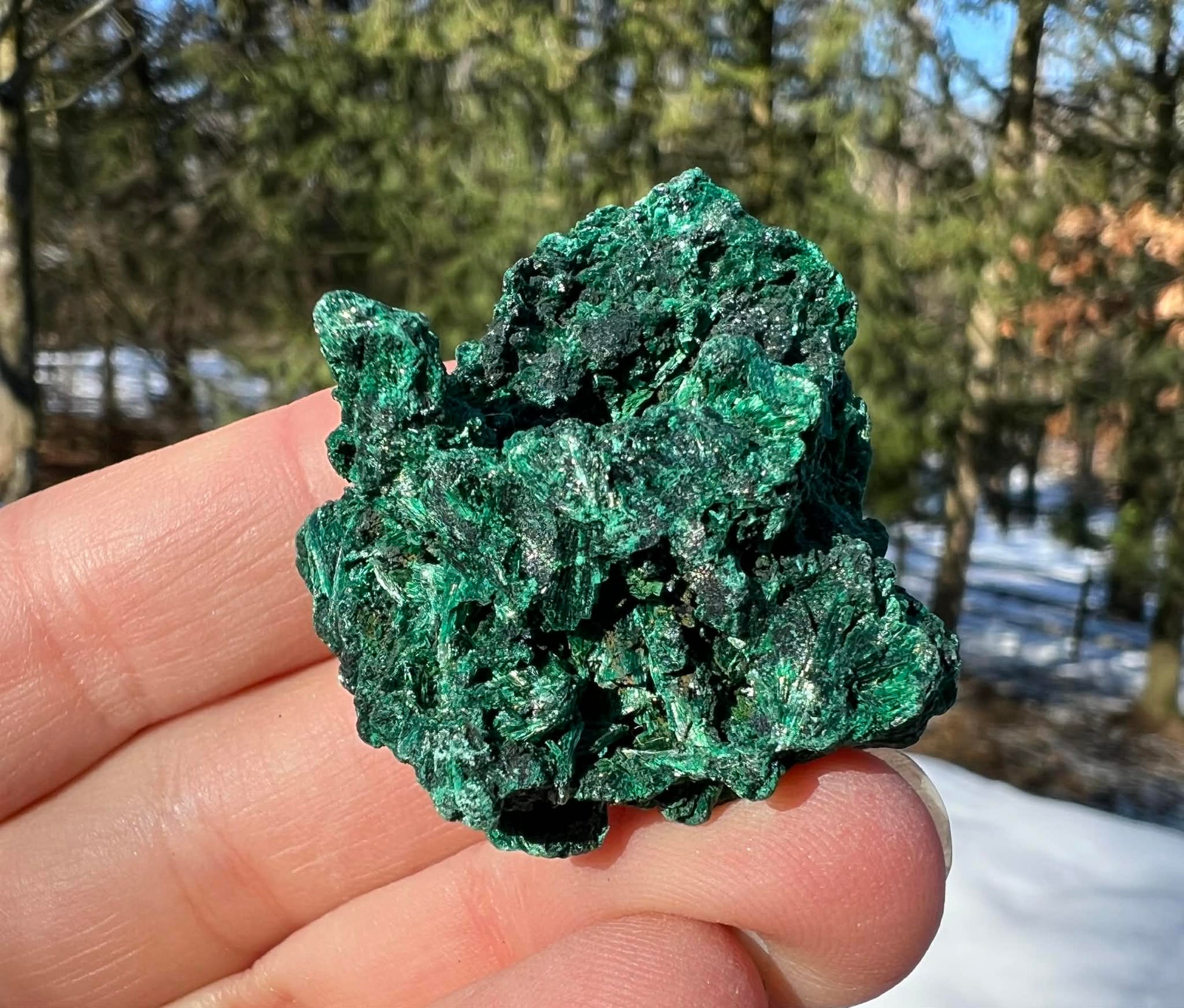 Silk Malachite Specimen #21 - Gem Realm 