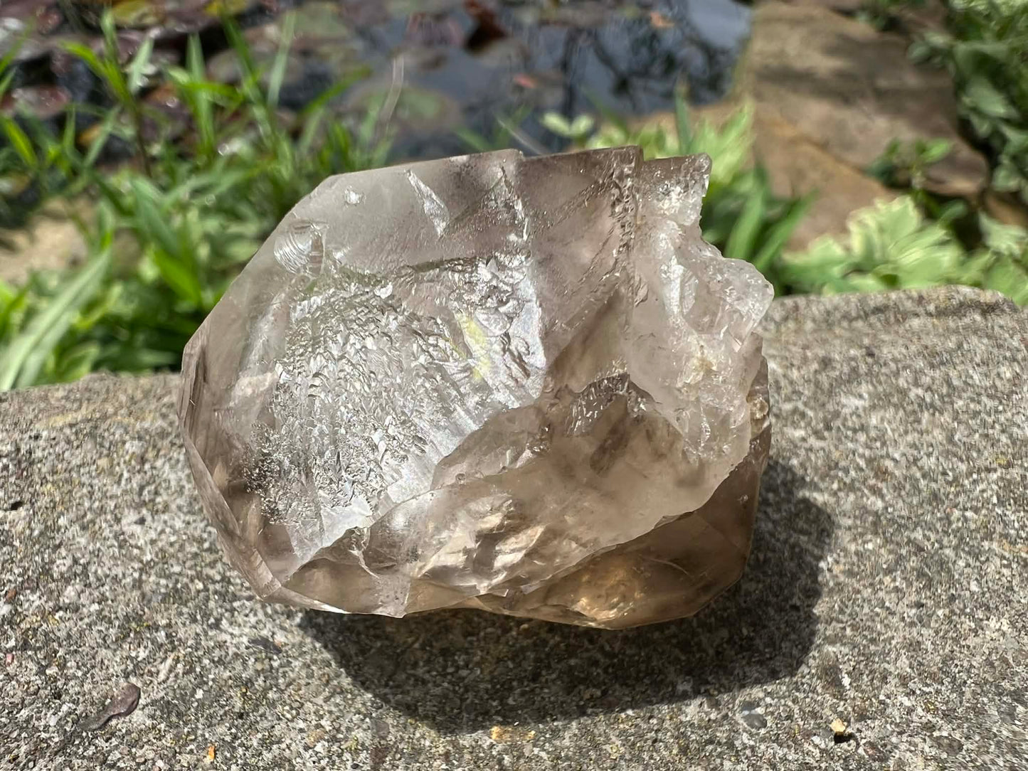 Smoky Elestial Quartz Specimen #13 - Gem Realm 