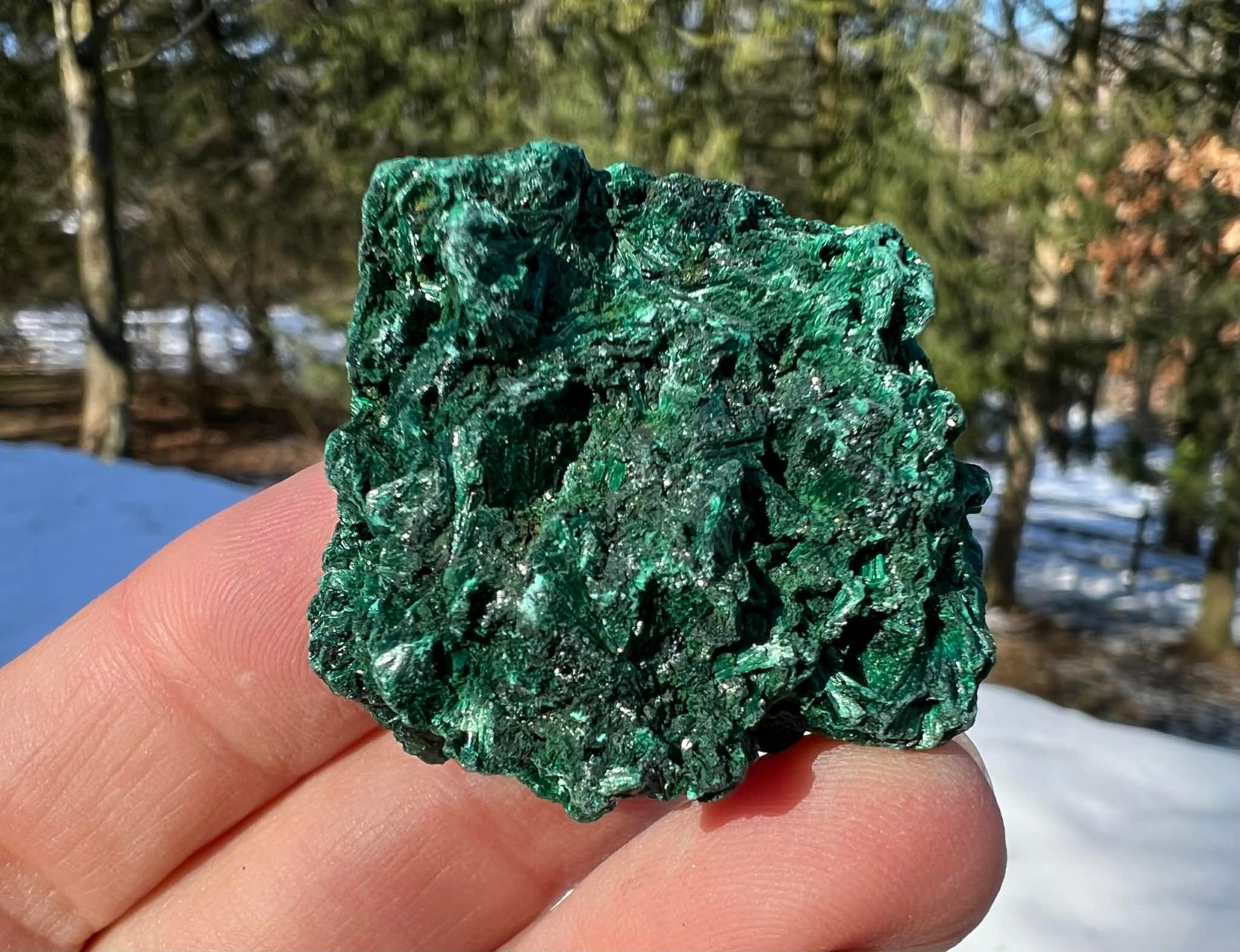 Silk Malachite Specimen #21 - Gem Realm 