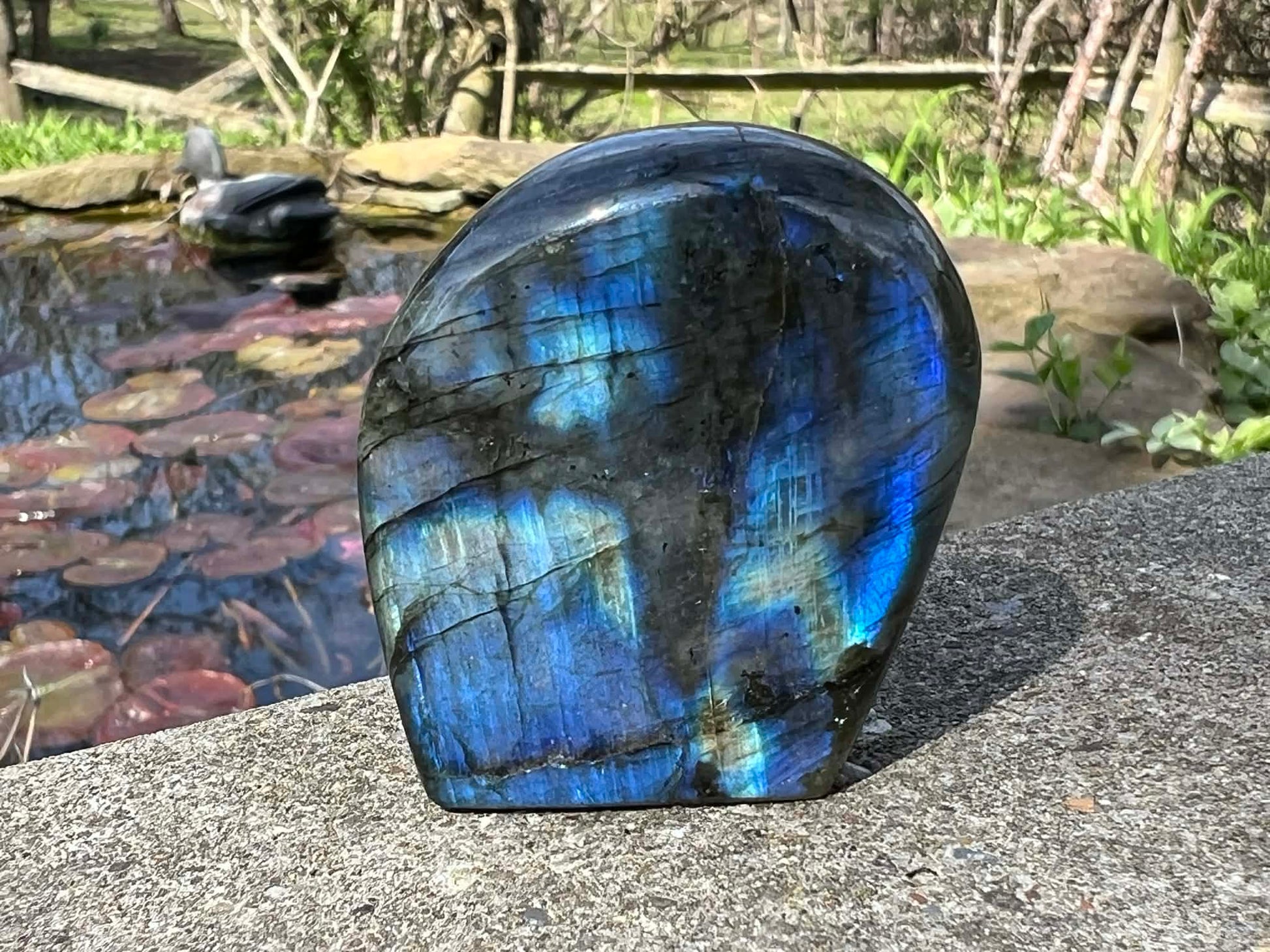 Labradorite Freeform - Mini - Gem Realm 
