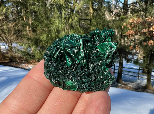 Silk Malachite Specimen #7 - Gem Realm 