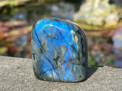 Labradorite Freeform - Gem Realm 