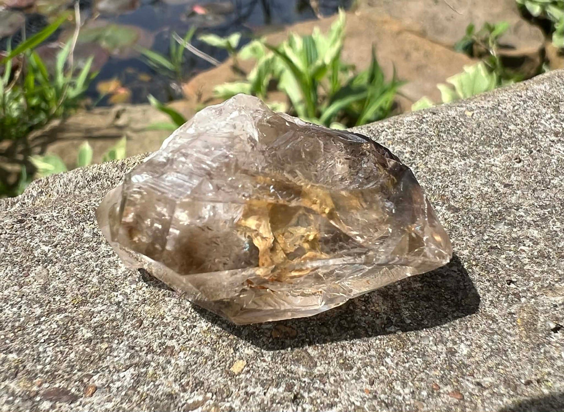 Smoky Elestial Quartz Specimen #10 - Gem Realm 